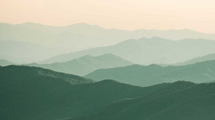 Trender inom varumärkesjuridiken