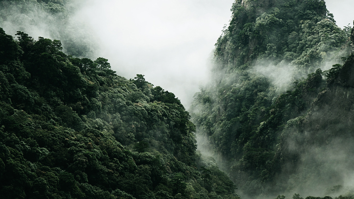 Kina förbjuder företag att följa västerländska handelsbegränsningar 