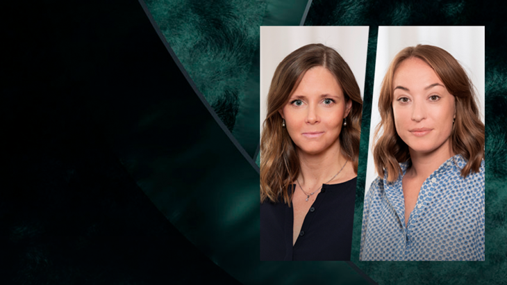 Vinge bidrar till IEL:s Guide to Pay Transparency