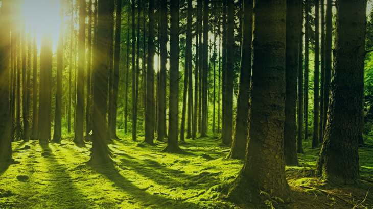 Förslag till nytt EU-direktiv om hållbarhetsredovisning