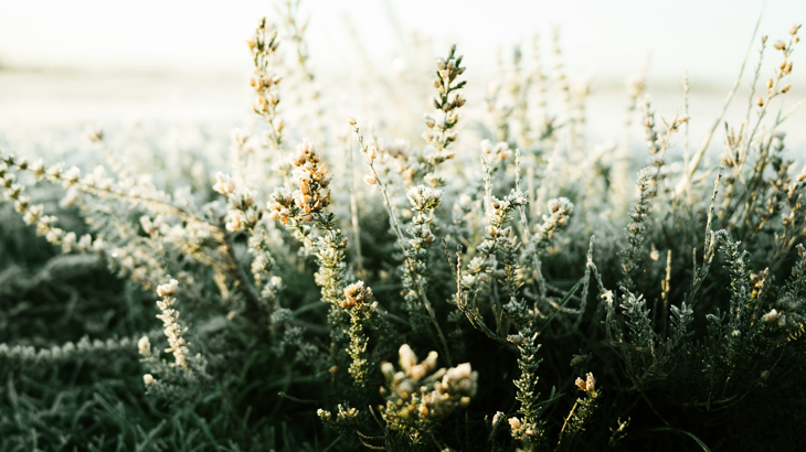 Genomförande av AIFMD II i svensk rätt – en översikt