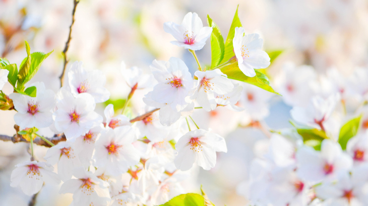 GDPR: Nytt nummer av vårt nyhetsbrev med fokus på personuppgifter och dataskydd