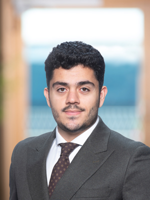 Robin  Sultani