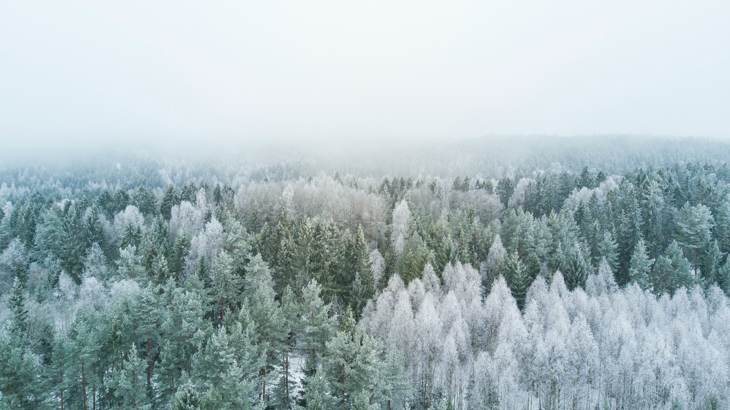 COP27 – one step closer to climate justice