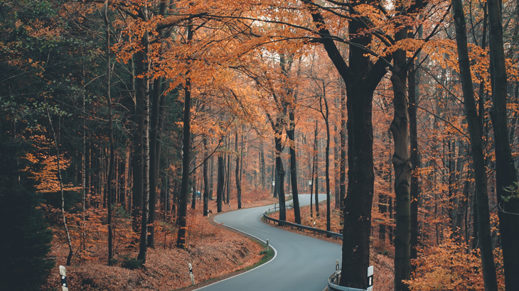 Nyheter inom försäkring