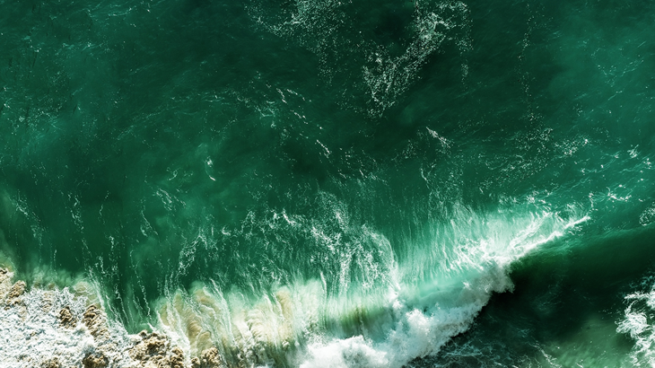 IP@Vinge - en förmiddag i immaterialrättens tecken