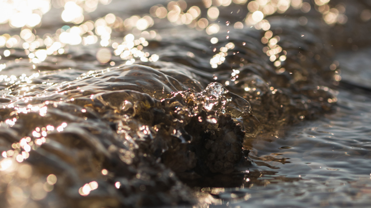 Vinge receives top ranking in intellectual property law