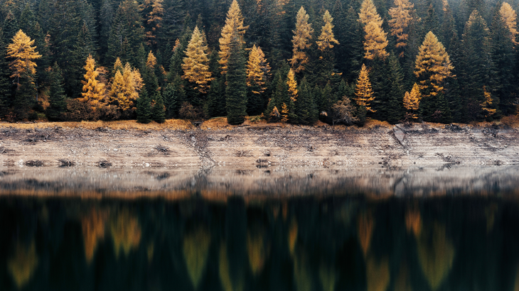 Gig-bolag är inte att betrakta som arbetsgivare enligt Arbetsmiljöverket