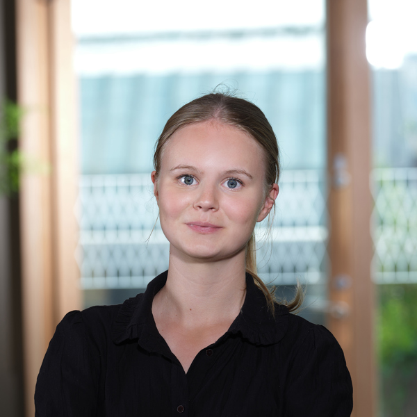 Linn Aho