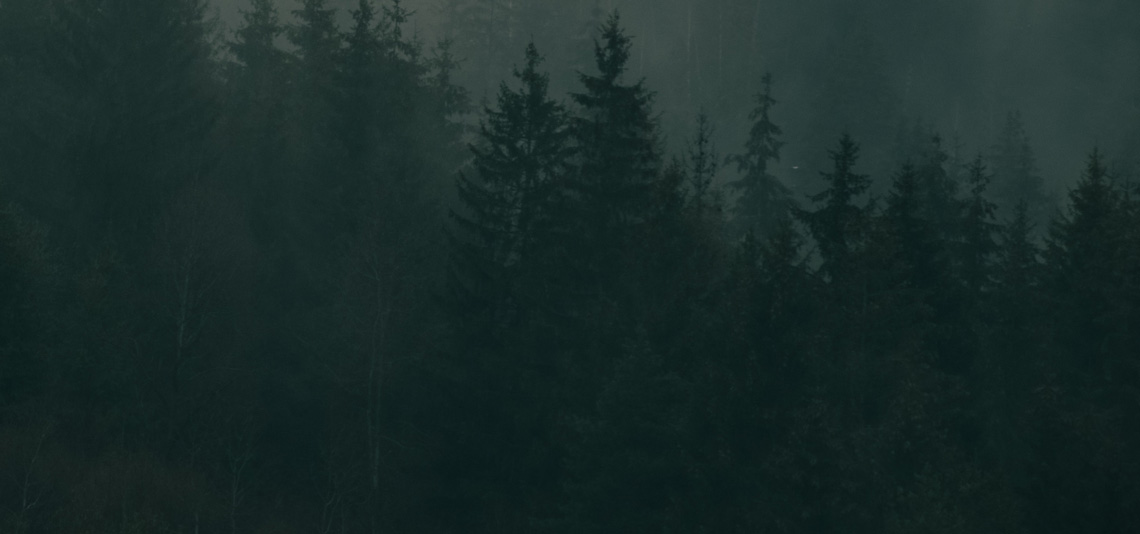 EUDR – legal update