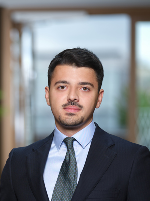 Kamyar  Najmi