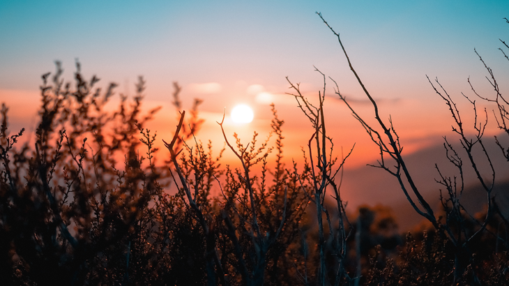 WTR 1000 - Vinge erhåller svensk toppnotering 